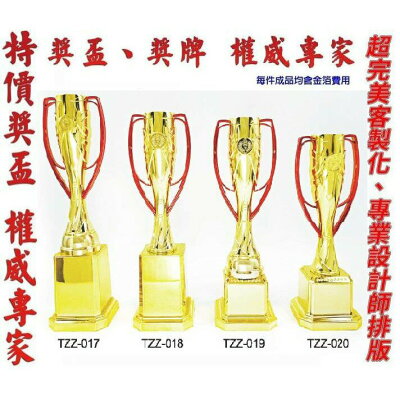 獎盃 獎牌 客製化 訂製各式比賽獎盃皆可承製喔 量多有優惠【大自在運動休閒精品店】