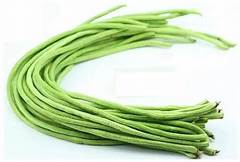 台灣本產烏仁菜豆種子15克裝 0