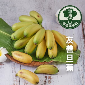 嘉義友善耕作 無毒蛋蕉/旦蕉(5斤/10斤)