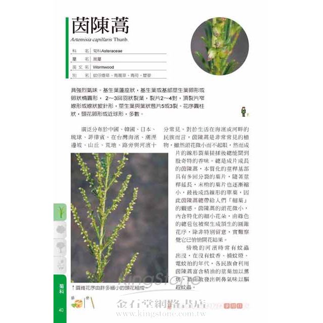 台灣民族植物圖鑑 樂天書城直營店 樂天市場rakuten