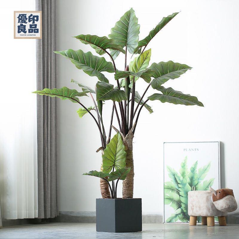 免運 工廠現貨 模擬樹 模擬綠植 仿真植物 裝飾假樹 辦公室ins大型仿真植物網紅假彩虹芋樹室內家居裝飾落地客廳造景免運 工廠現貨 模擬樹 模擬綠植 仿真植物 裝飾假樹免運/可開發票 工廠直銷 特價出 y5418