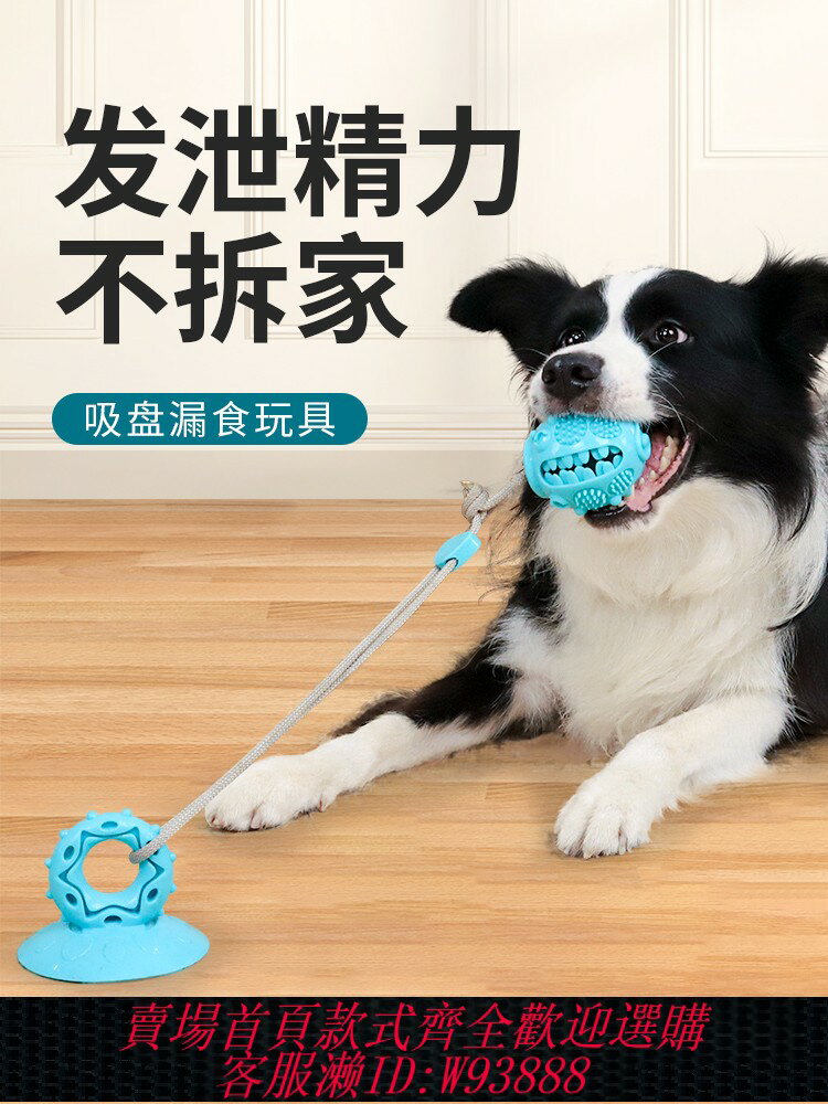 {臺灣公司貨 可打統編}狗狗玩具吸盤耐咬磨牙解悶自嗨神器邊牧消耗體力小狗玩具寵物用品