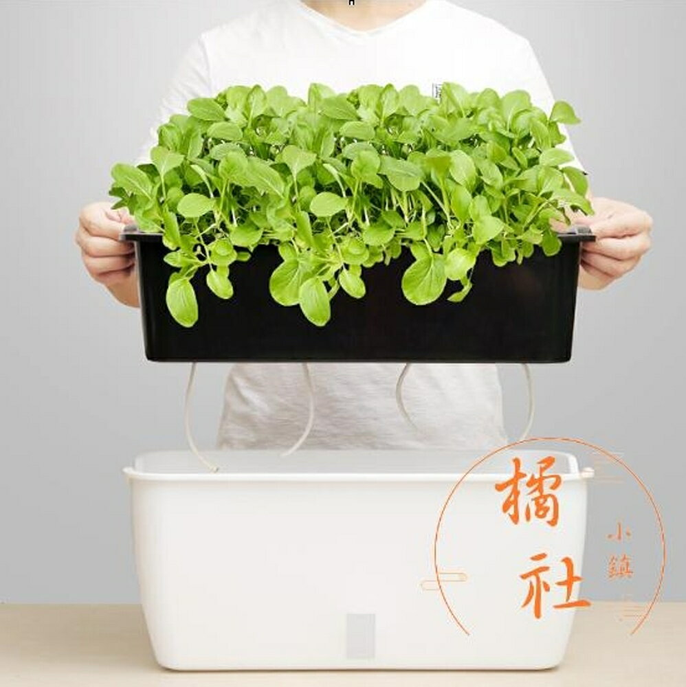 花盆栽長方形塑膠種植箱種菜神器家庭陽臺【櫻田川島】