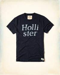 美國百分百【Hollister Co.】T恤 HCO 短袖 T-shirt 海鷗 貼布 logo 白色 S號 I214