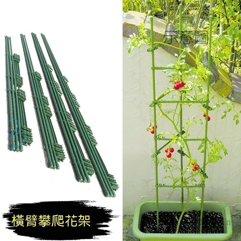 花架 黃瓜架 小黃瓜架 豆架 爬藤架 花盆架西紅柿支架黃瓜爬藤架園藝花卉綠植支撐桿陽臺地面花架固定番茄