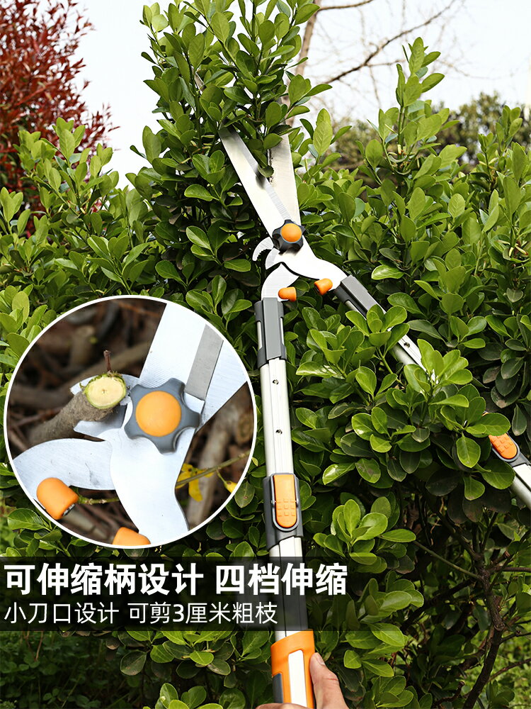 園藝剪刀修枝剪園林修剪樹枝大剪刀剪草神器綠籬剪花圃修花草坪剪