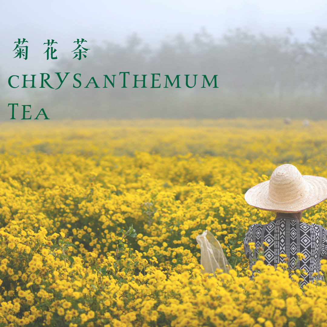 【Delic好食嗑】台灣杭菊二號 (黃金菊)台東嚴選，金黃花海的芬芳！【Delic好食嗑】 2