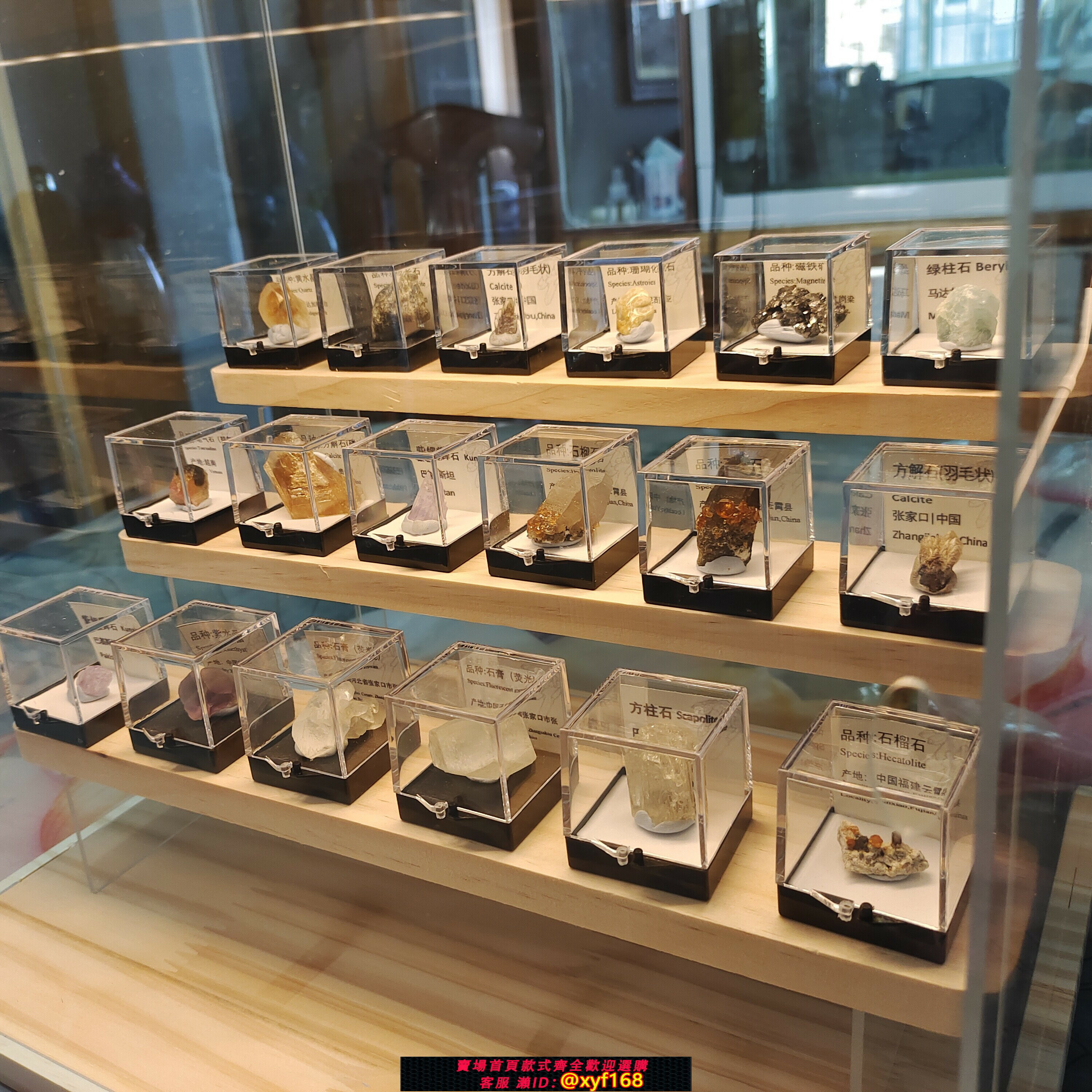 {保固一年 可打統編}貓礦物晶體展示盒盲盒架子收納手辦娃娃樂高模型透明防塵櫃亞克力
