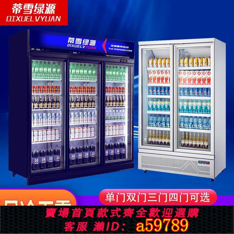 【臺灣公司 可打統編】西科啤酒飲料櫃跨境直供電壓110V冰櫃水果立式冷藏展示櫃冰櫃超市