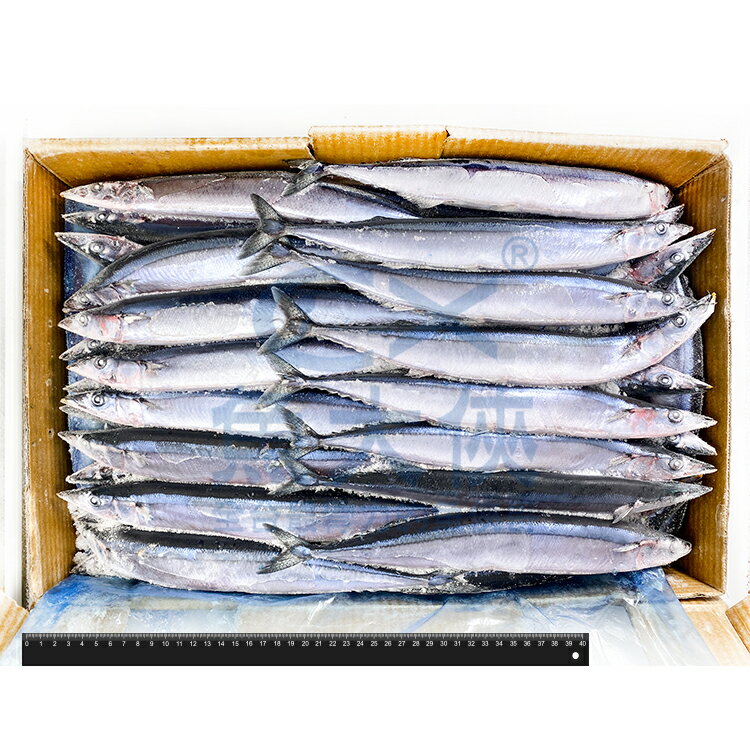 秋刀魚 柳葉魚 魚大俠 Rakuten樂天市場