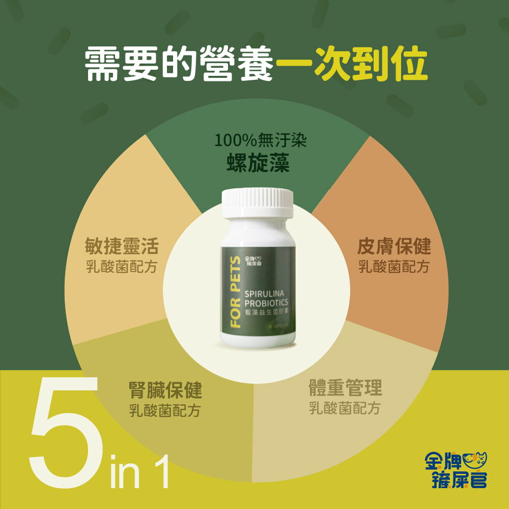 金牌鏟屎官 藍藻益生菌膠囊-天然全方位營養補充 30粒／瓶 貓咪 狗狗 2