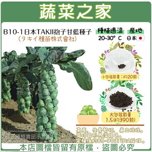 【蔬菜之家】B10-1.日本TAKII抱子甘藍種子(タキイ種苗株式會社)(共有2種包裝可選)