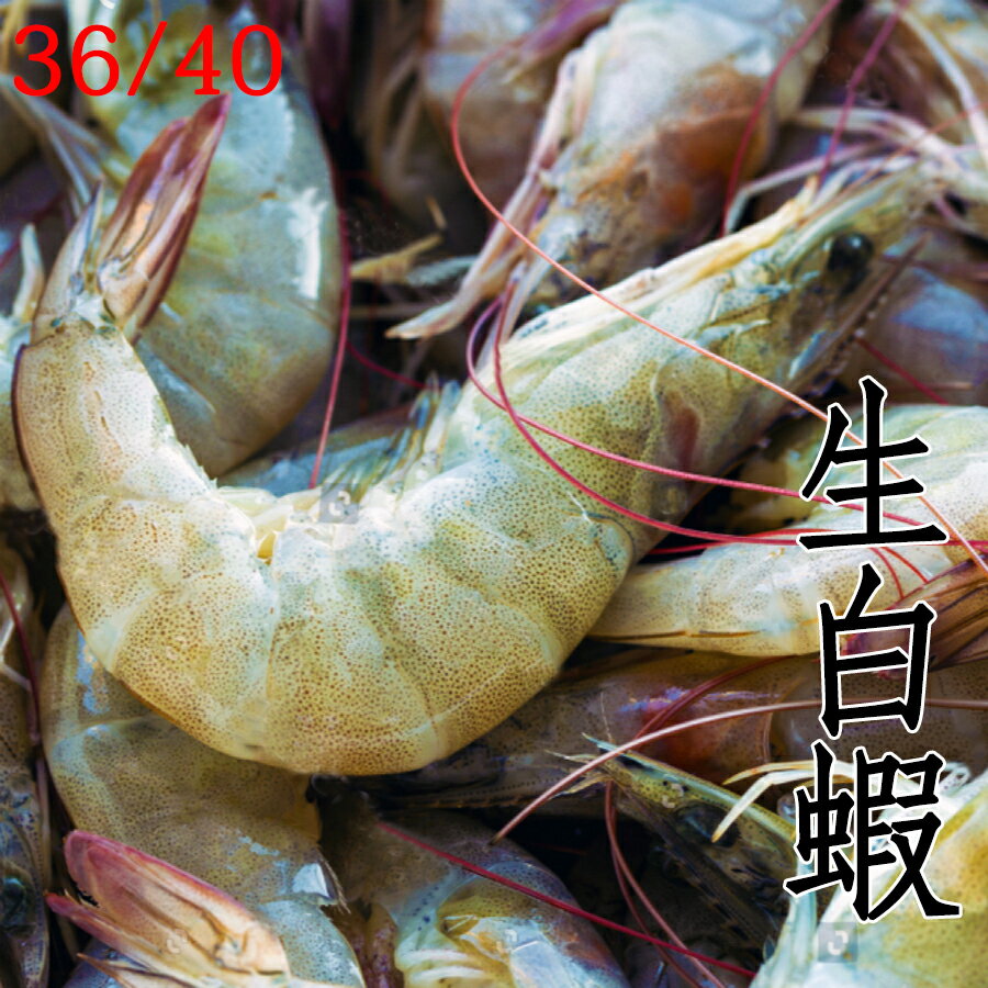 ㊣盅龐水產◇生白蝦36/40 ◇重量600g/盒 約36~40隻 零售$275元/盒 烤肉 夯肉 零售 餐廳批發