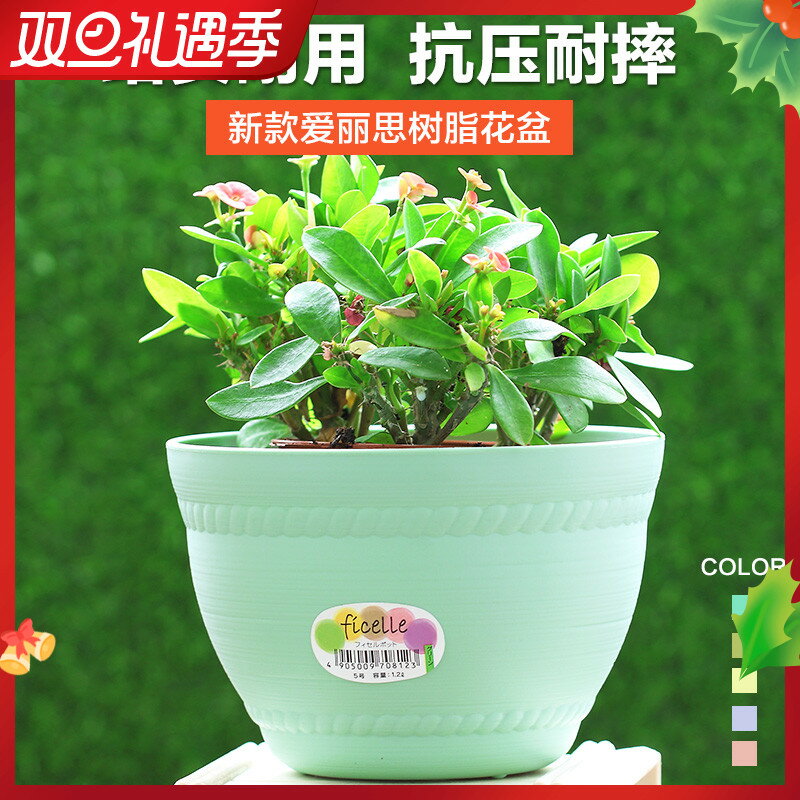 愛麗思園藝塑膠彩色圓缽5/6/7/8號 圓盆簡約樹脂陶式花盆大號陽臺