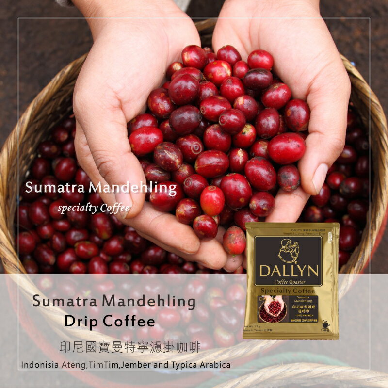 印尼經典國寶曼特寧濾掛咖啡 Sumatra Mandehling   | DALLYN世界嚴選莊園  ★免運稅入 送料無料 0