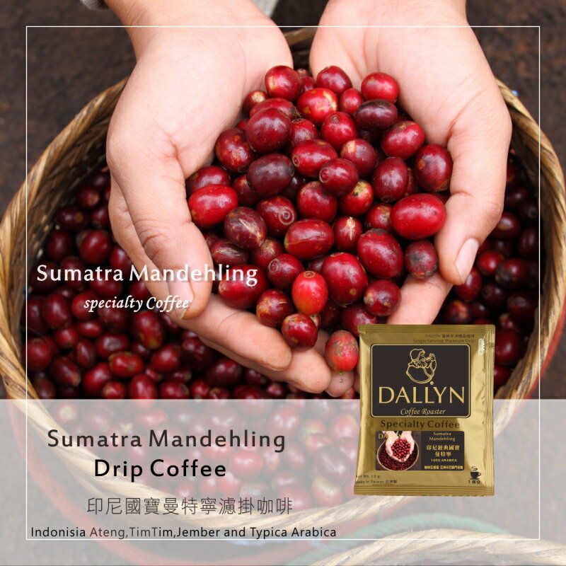 印尼經典國寶曼特寧濾掛咖啡 Sumatra Mandehling   | DALLYN世界嚴選莊園  ★免運稅入 送料無料