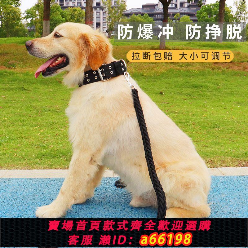 【臺灣公司 可開發票】狗狗牽引繩外出遛狗繩狗項圈大型犬狗繩金毛寵物狗鏈子防爆沖背帶