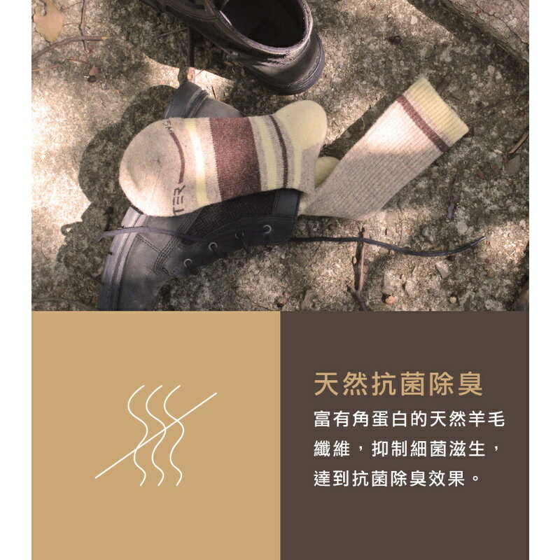 FOOTER 羊毛機能保暖登山襪 除臭襪 羊毛襪 運動襪 襪子 出國 滑雪 百岳(男-K175L/XL) 7