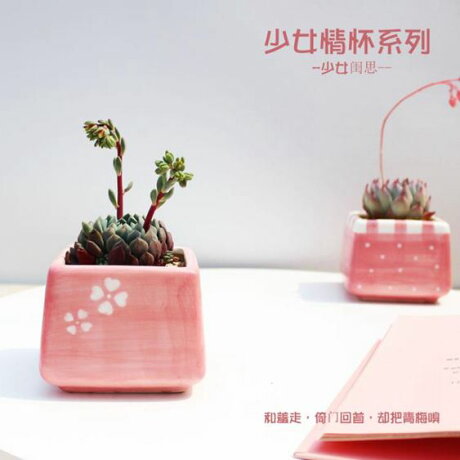 盆匠少女情懷系列粉色拇指盆手繪多肉花盆多肉植物容器花器 樂樂百貨店 Rakuten樂天市場 盆匠少女情懷系列粉色拇指盆手繪多肉花盆多肉植物容器花器 樂樂百貨店 Rakuten樂天市場