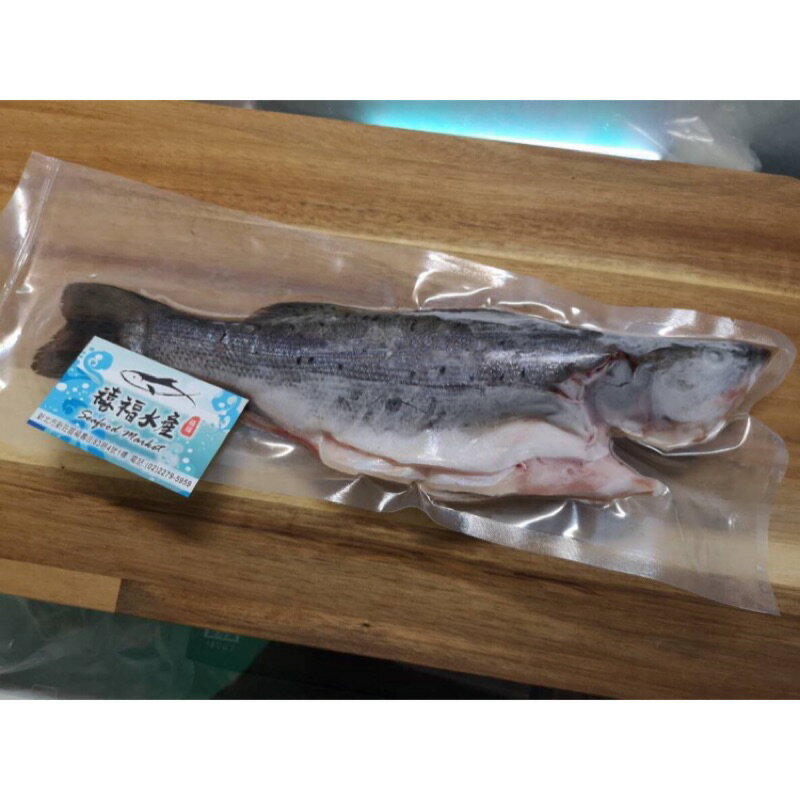 禧福水產 台灣七星鱸魚 內臟已三去 特價199元 4 5 隻 最低價肉質鮮美石斑魚日本料理居酒屋餐廳團購可批發 禧福水產 Rakuten樂天市場