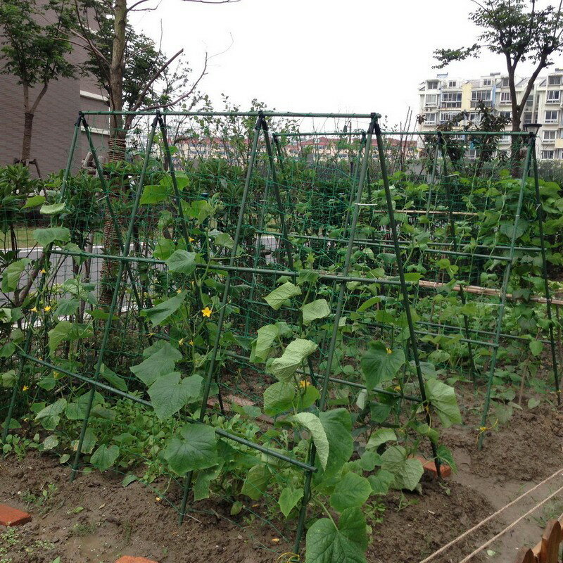 園藝支柱支架套裝豆角架黃瓜架子花支柱配爬藤網菜園蔬菜支架種植 協貿國際日用品生活6館 樂天市場rakuten