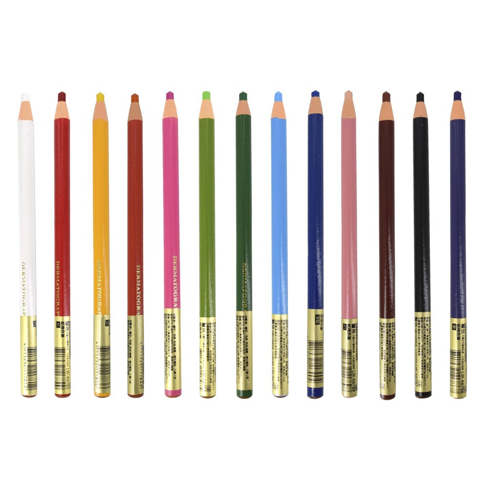 紙捲色筆 (13色)【九乘九購物網】