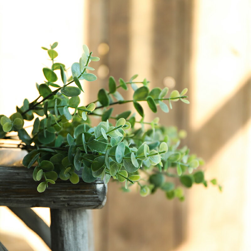 尤加利仿真綠植花瓶擺設裝飾幼兒園自然角植物角庭院戶外裝飾擺件