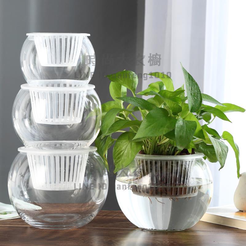 創意水培瓶植物透明玻璃花瓶容器綠蘿花盆魚花共養缸水養擺件器皿【時尚大衣櫥】