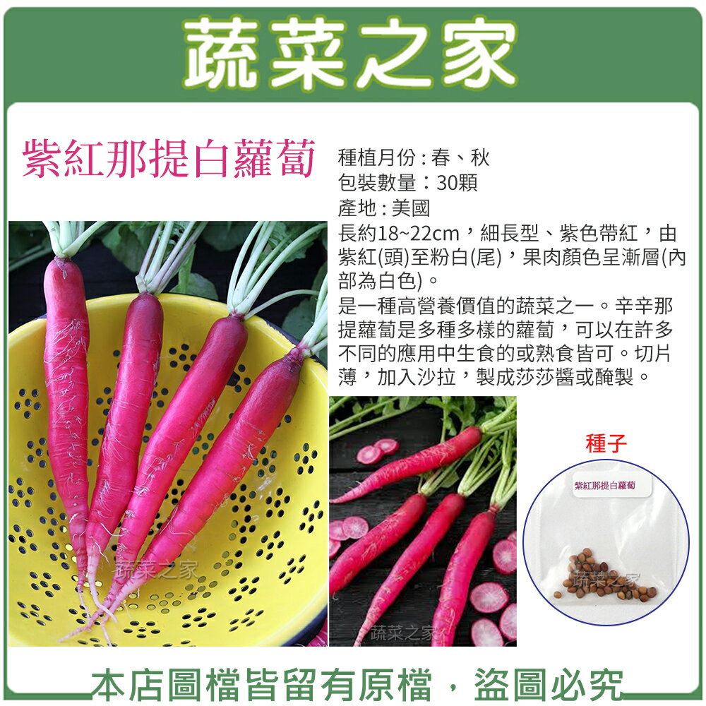 【蔬菜之家】C26.紫紅那提白蘿蔔30顆(長約18~22cm，細長型、紫色帶紅)