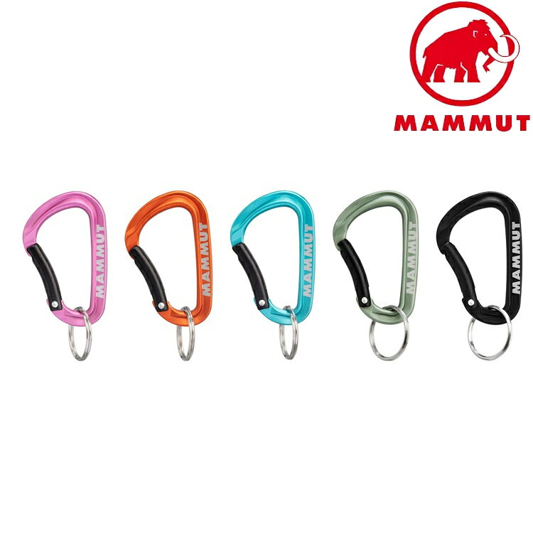 Mammut 長毛象 Mini Workhorse Keylock L 小鉤環 2810-00320 什錦【顏色依現貨為主】