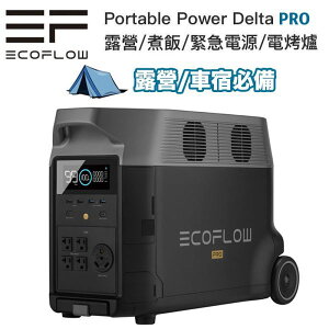 【eYeCam】全新現貨 正浩公司貨 EcoFlow DELTA PRO 移動電池 3.6度電 2小時快充 戶外電池 露營電池 停電 車宿