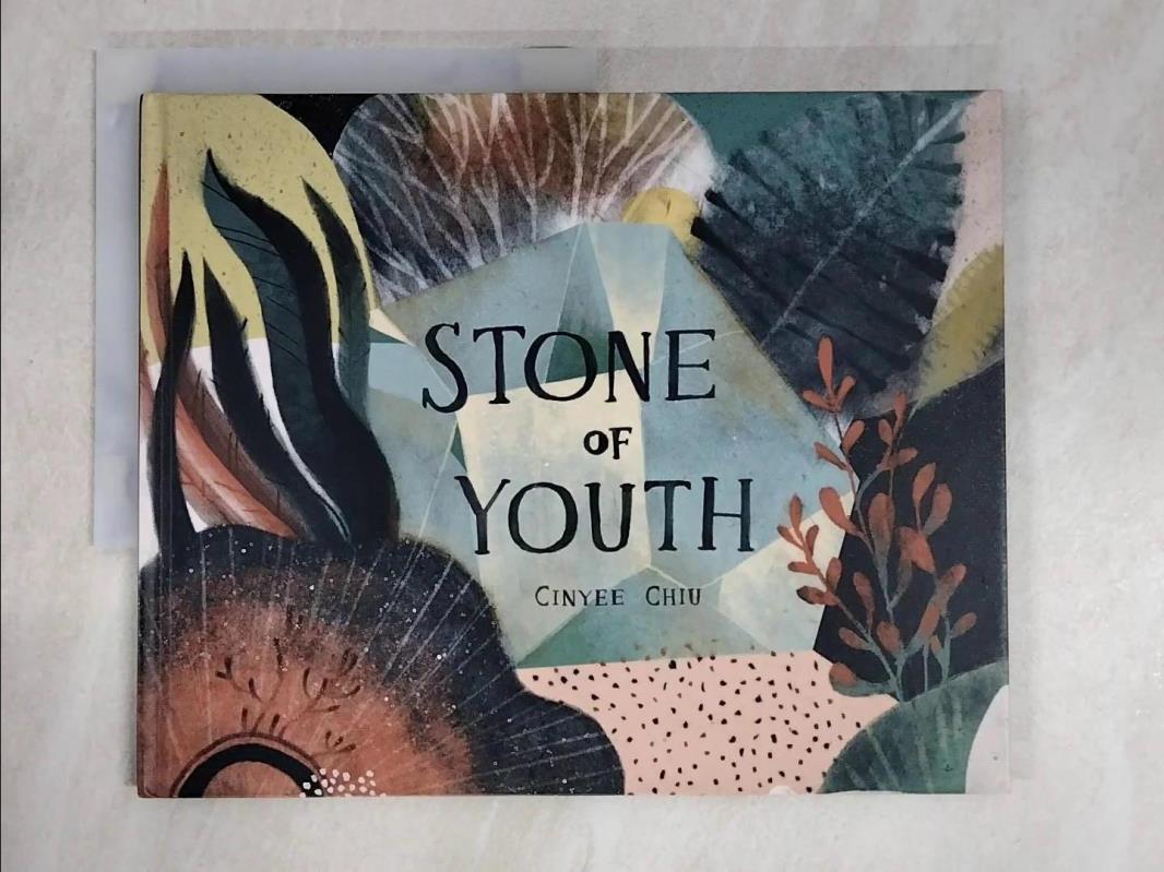 【書寶二手書T6／少年童書 E3U】Stone Of Youth