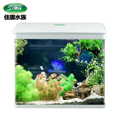 金魚玻璃 21年11月 Rakuten樂天市場 金魚玻璃 21年11月 Rakuten樂天市場