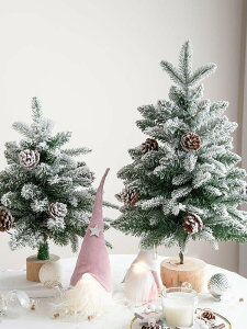 韓國60cm聖誕樹雪樹小聖誕樹桌面擺件積雪植絨pe混合聖誕樹