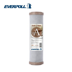 EVERPOLL EVB-C100A標準型10英吋網狀壓縮活性碳棒濾芯 CTO濾芯 大大淨水