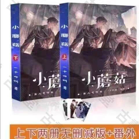 小蘑菇 上下2冊 無刪減小說 完結版 實體書 全套 收藏 現貨 熱門 文學 閱讀 精選 推薦