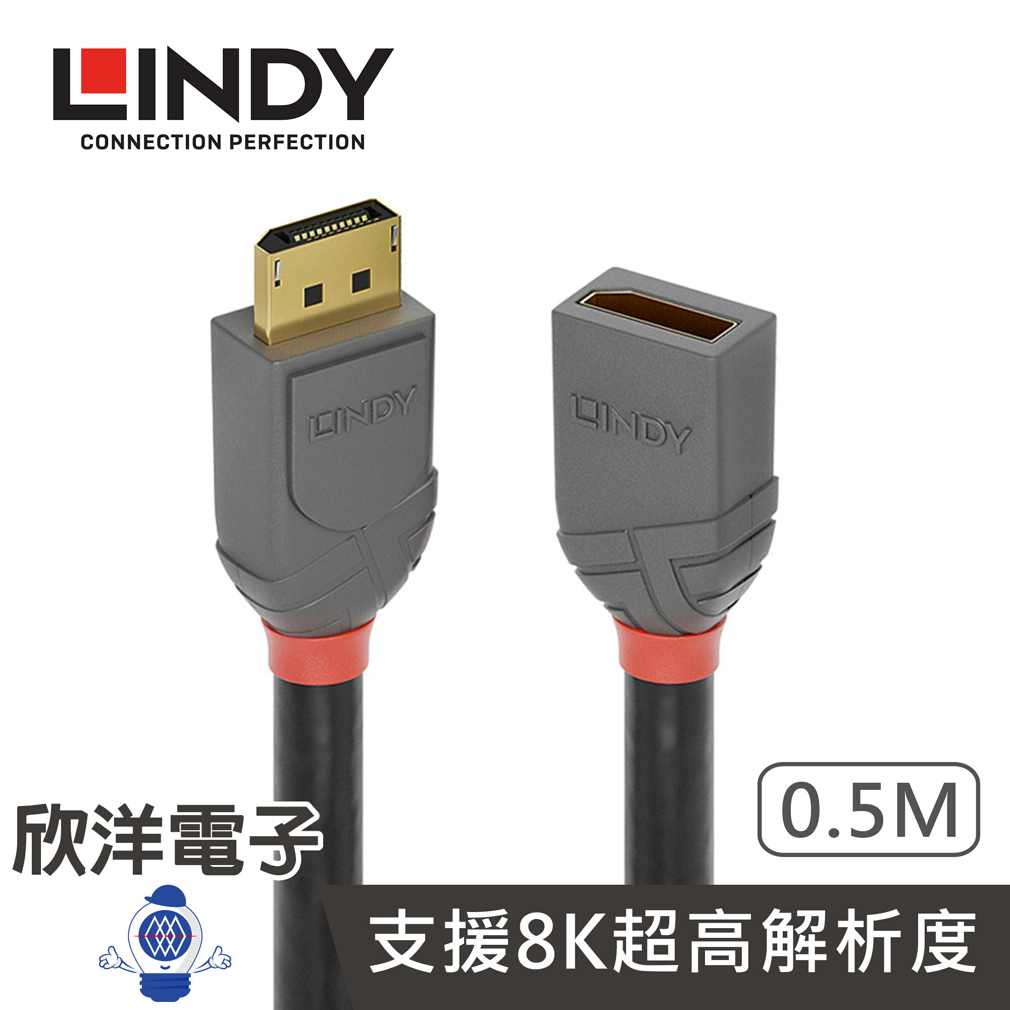 ※ 欣洋電子 ※LINDY林帝 DISPLAYPORT 1.4版 公 TO 母 延長線 0.5M 50公分 (36495) DP延長線