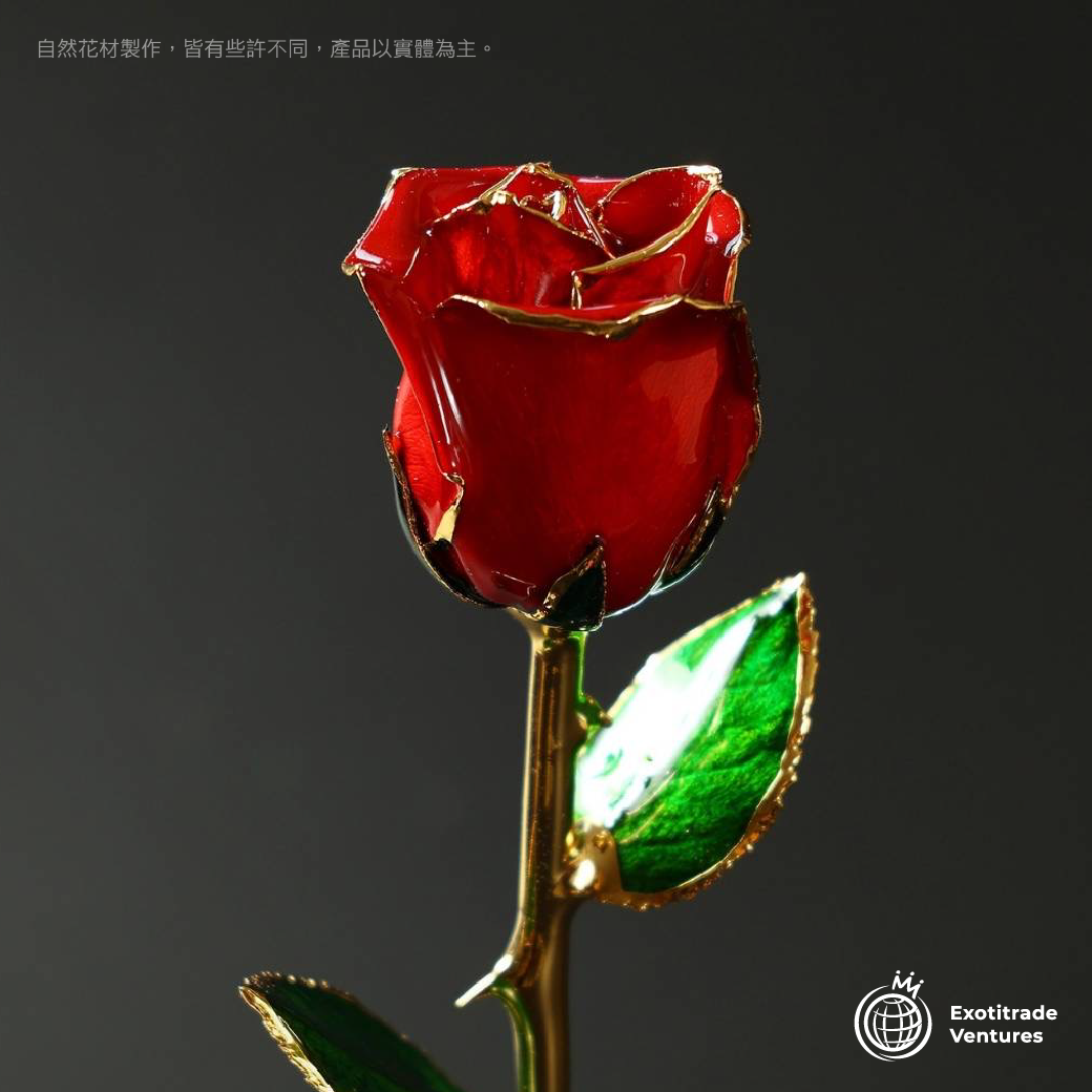 24K金 永恆鍍金珍藏玫瑰_紅色 3