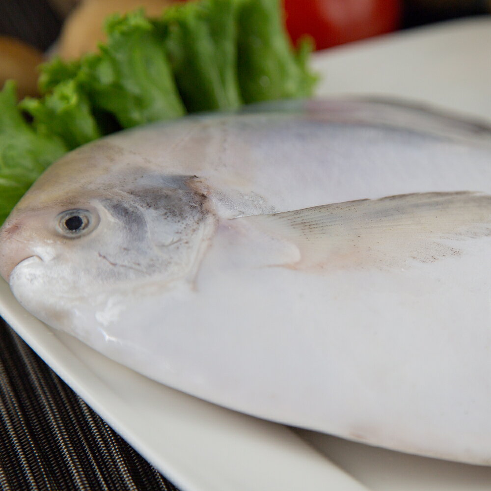 【有魚生鮮】遠洋大白鯧500g ~ 600g