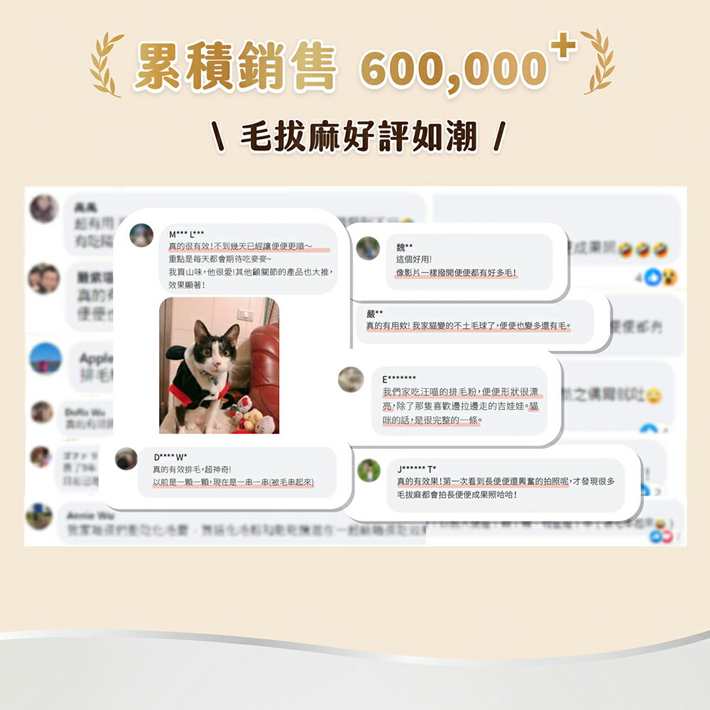 汪喵星球排毛粉 化毛粉 貓咪排毛 天然植物纖維& 酵素 50g 5