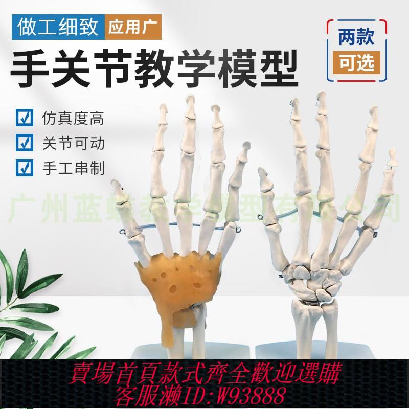{可刷卡 打統編}人體手骨 手關節附韌帶模型 人體手指骨骼模型 手部手掌骨骼模型