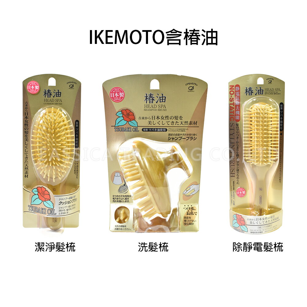日本 池本梳子 IKEMOTO 含椿油洗髮梳 除靜電 按摩梳 洗髮梳
