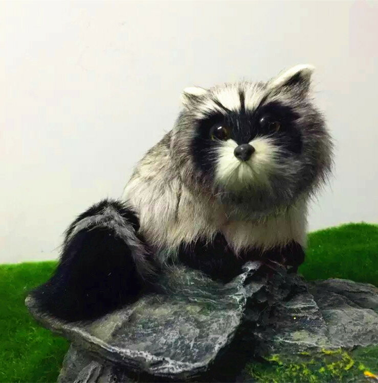 動物模型 仿真狐貍貓 花貍貓 九節貍 攝影道具玩具 教科認知裝飾