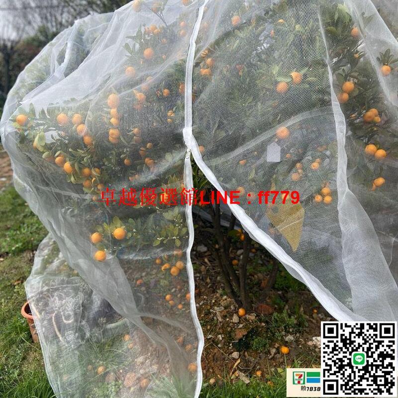 【卓越優選館】防鳥網 楊梅網罩蓮霧網果樹防蟲網防鳥櫻桃網羅幔蚊帳蔬菜大棚網防蟲網罩