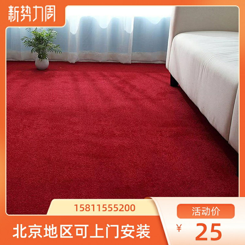 熱賣地毯臥室滿鋪辦公室家用加厚展廳開絨房間長毛防滑耐樓梯床邊