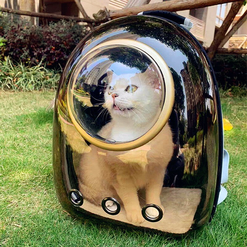 大號便攜貓包夏天外出寵物全透明太空艙貓咪背包外帶雙肩全景書包