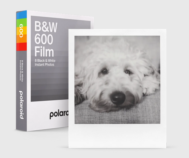 寶麗萊 Color i-Type Film 黑白白邊 底片 快速顯影 polaroid now onestep+【全館滿額再折】【APP下單跨店最高再享22%點數】