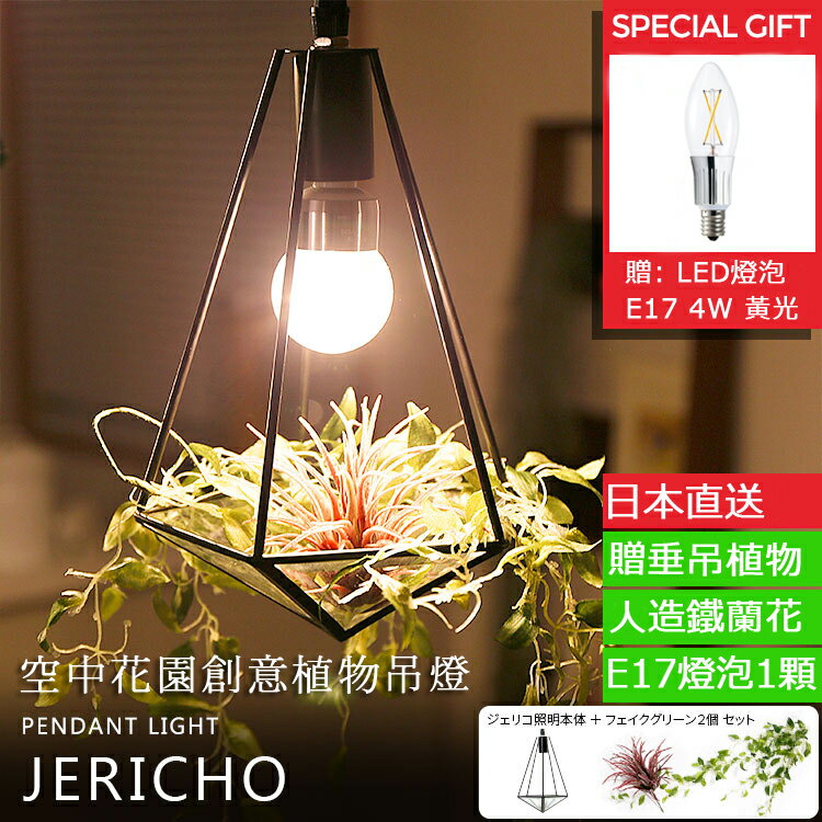 ［JERICHO］PENDANT LIGHT 空中花園創意植物吊燈 日本直送(下單後約7天到貨) TML