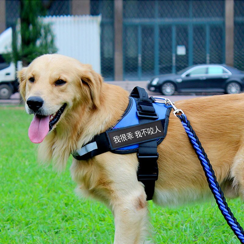 狗狗胸背帶大型犬金毛阿拉斯加牽引繩中型犬馬犬狗鏈子遛狗繩項圈