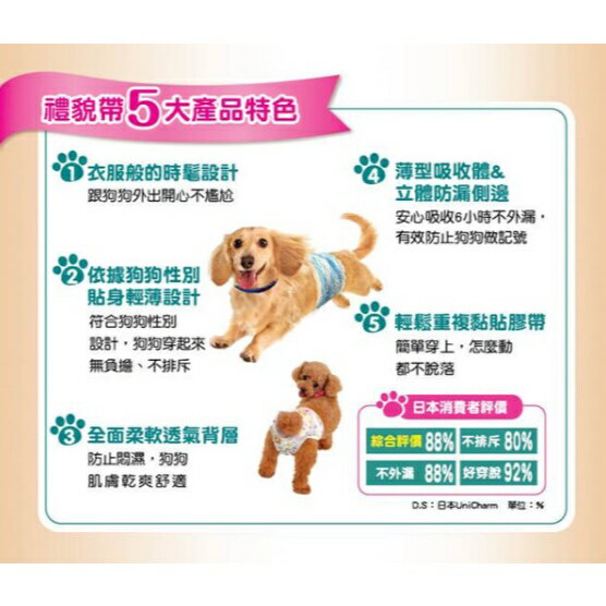 【日本嬌聯 禮貌帶 男生/女生 全系列】全尺寸 公狗禮貌帶 母狗禮貌帶 生理褲 尿布 1